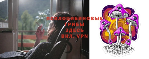 дурь Нефтегорск
