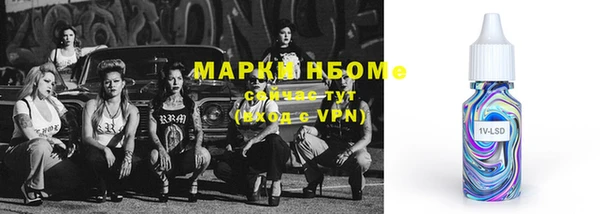 СК Новодвинск