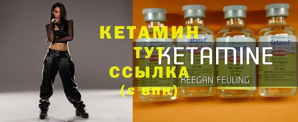 СК Новодвинск