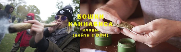 ALPHA PVP Новозыбков