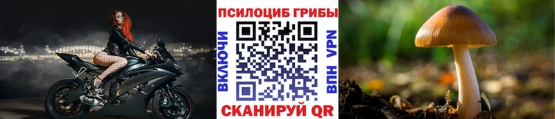Псилоцибиновые грибы Magic Shrooms  Петровск 