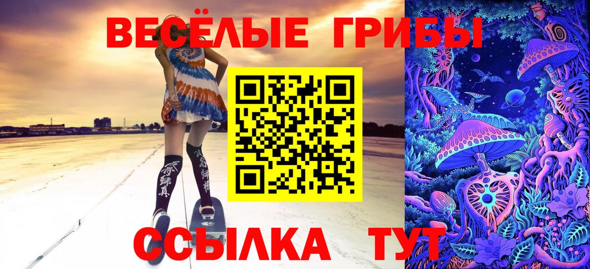 наркота  Галлюциногенные грибы прущие грибы  Вход с VPN  Галлюциногенные грибы Psilocybe  Петровск 