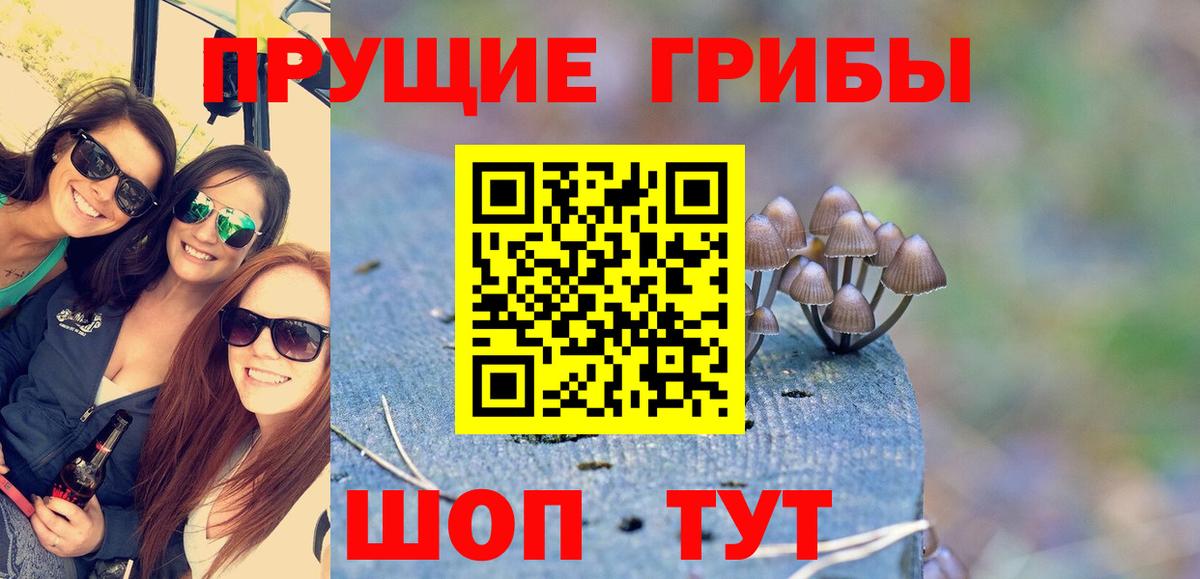 Галлюциногенные грибы мицелий Петровск